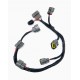 RB R35 VR38 Coil Pack Harness Loom - (RB20 RB25 RB26)