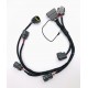 RB R35 VR38 Coil Pack Harness Loom - (RB20 RB25 RB26)